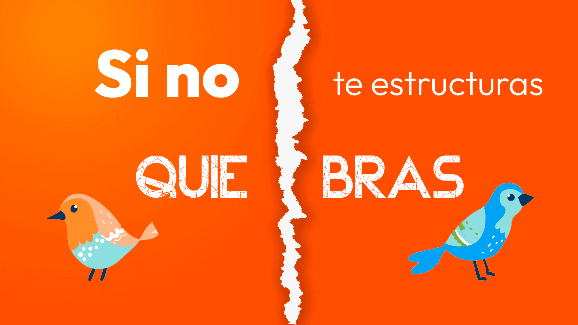 La Historia de una PYME: Cómo la Estructura Organizacional Transformó su Destino