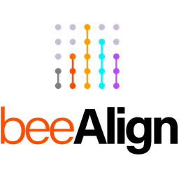 Beealign - Diagnóstico organizacional